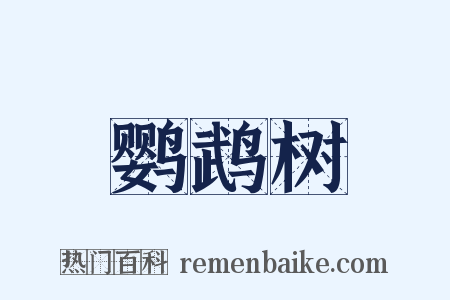鹦鹉树是什么意思的图片